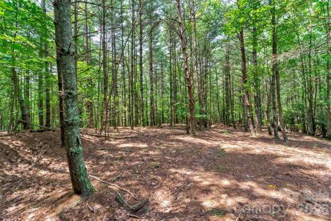 159 Deer Berry Drive Nebo NC 28761