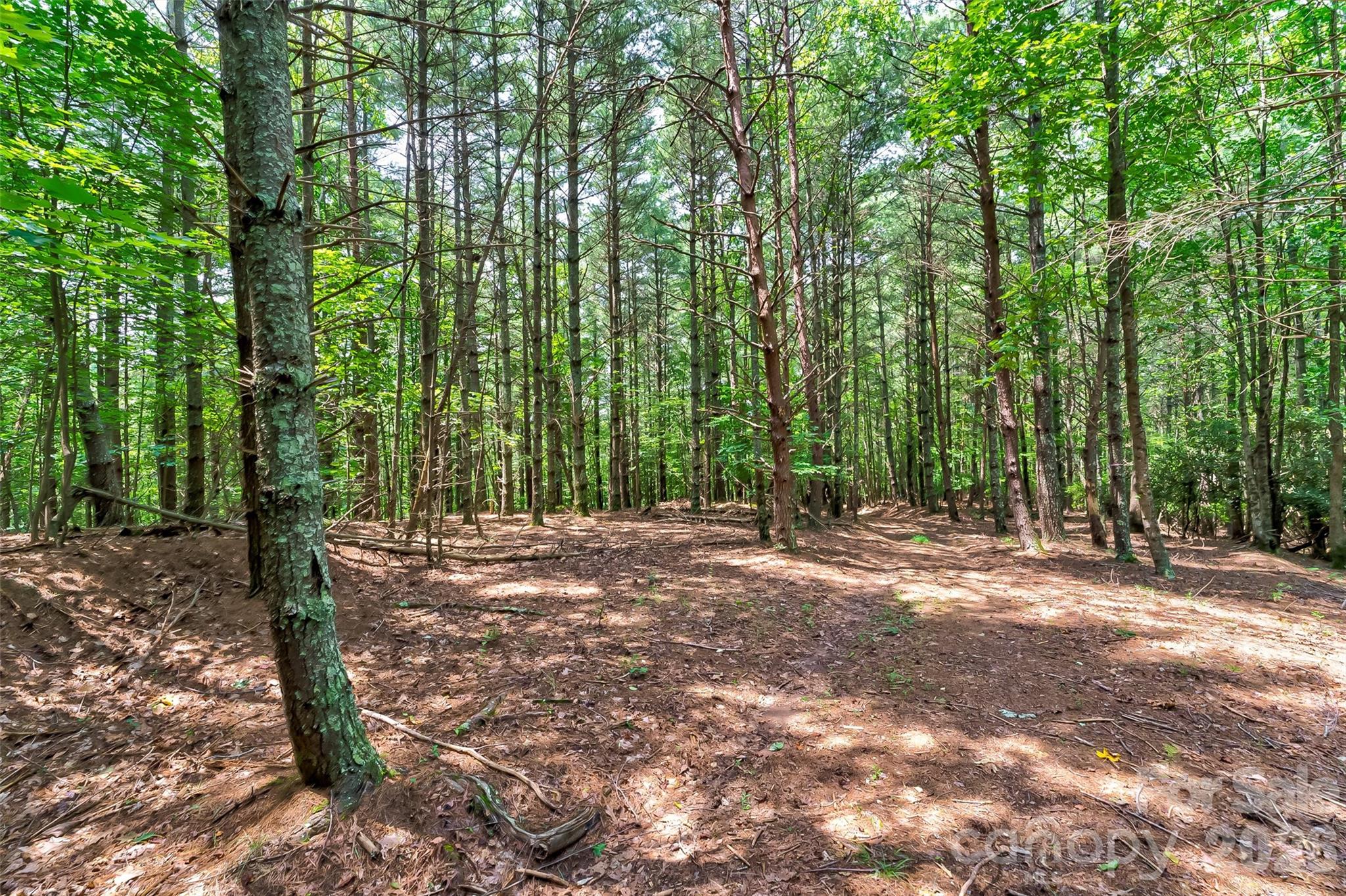 159 Deer Berry Drive Nebo NC 28761