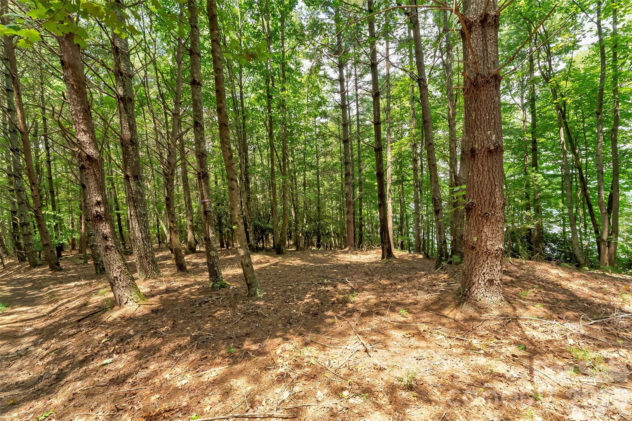 159 Deer Berry Drive Nebo NC 28761