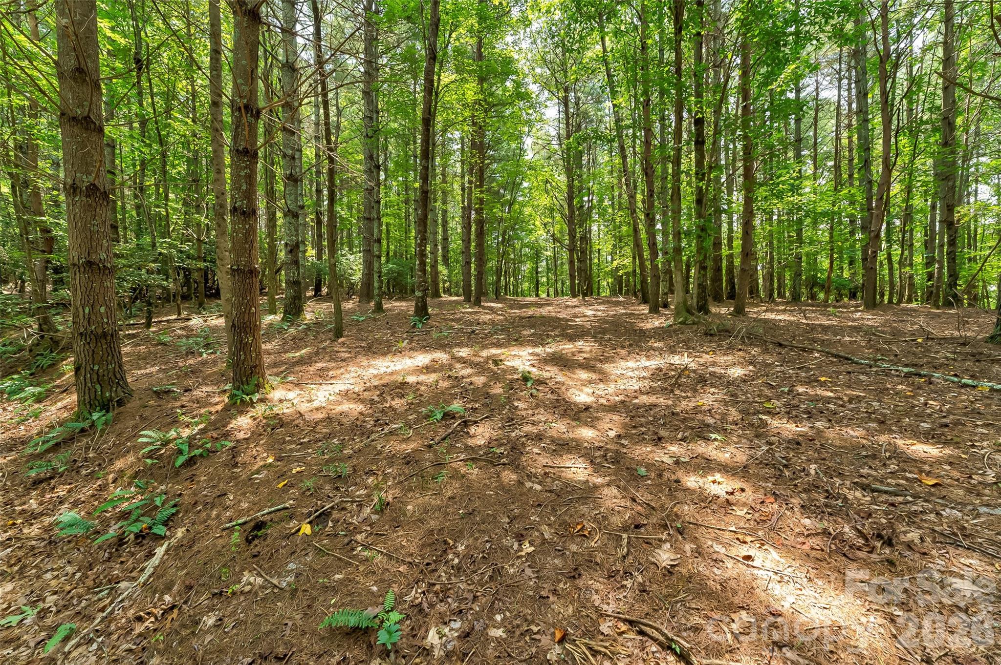 159 Deer Berry Drive Nebo NC 28761