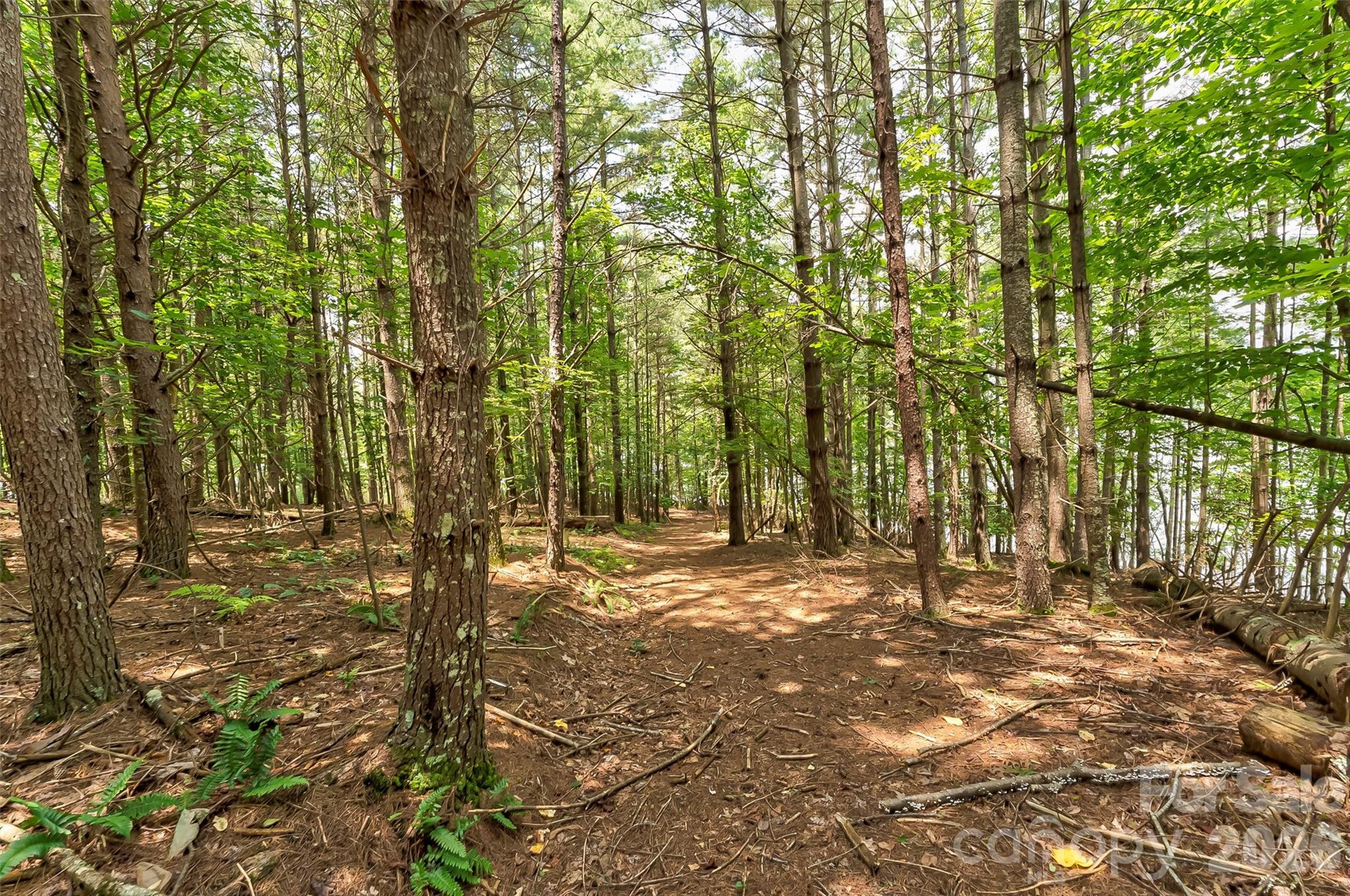 159 Deer Berry Drive Nebo NC 28761