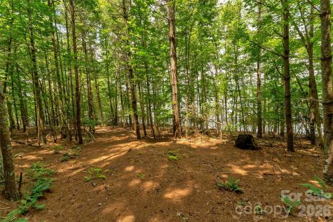 159 Deer Berry Drive Nebo NC 28761
