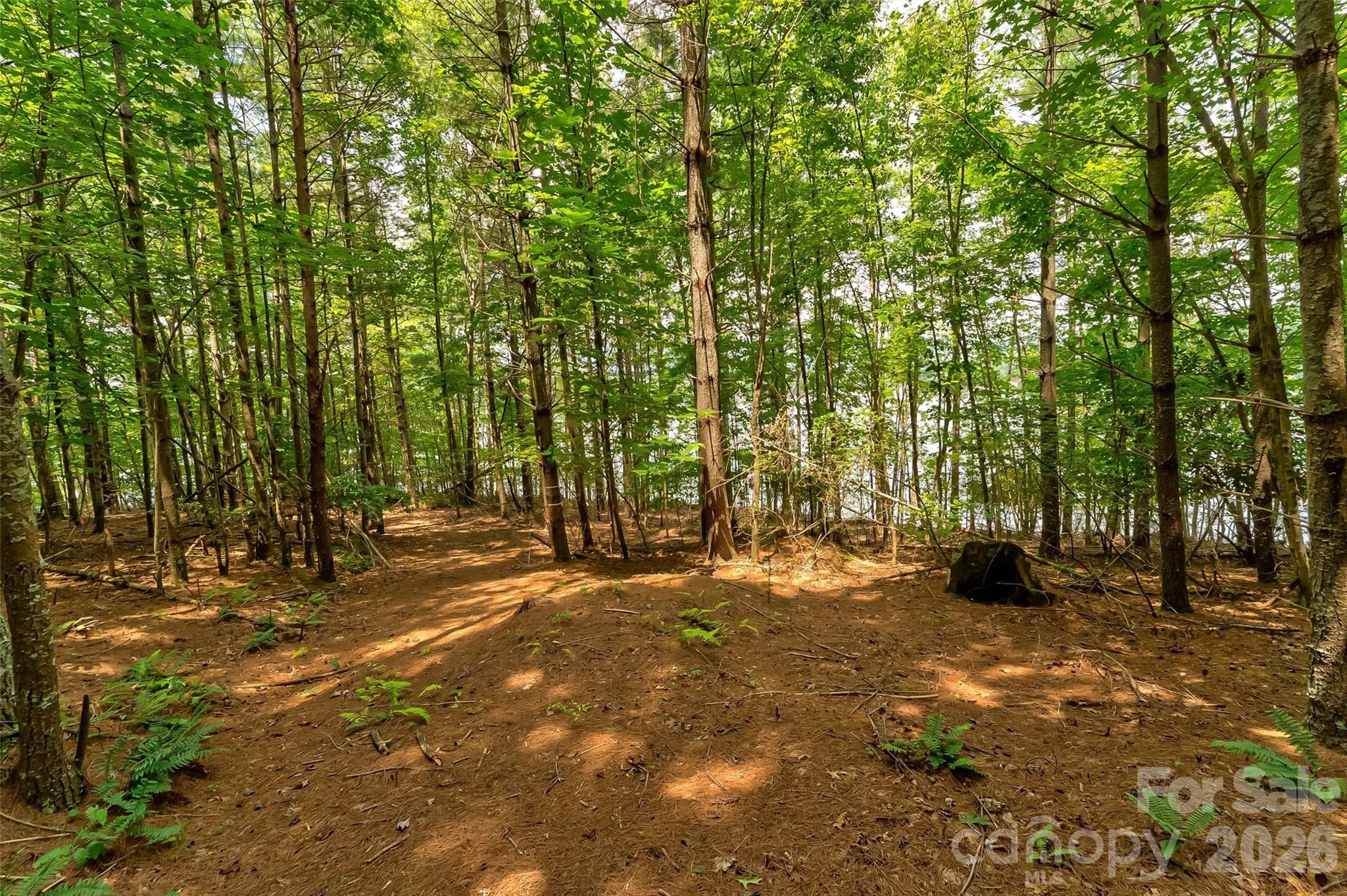 159 Deer Berry Drive Nebo NC 28761