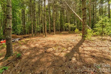 159 Deer Berry Drive Nebo NC 28761