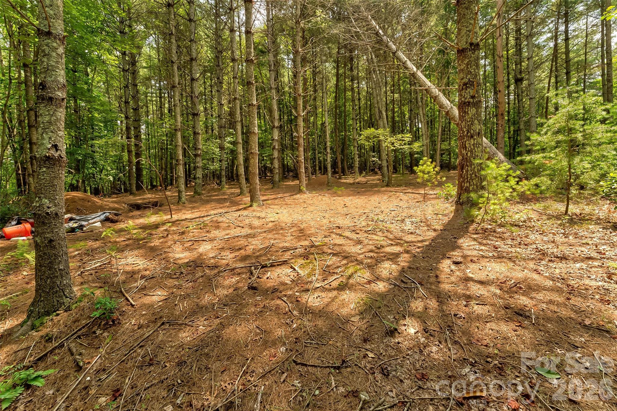 159 Deer Berry Drive Nebo NC 28761