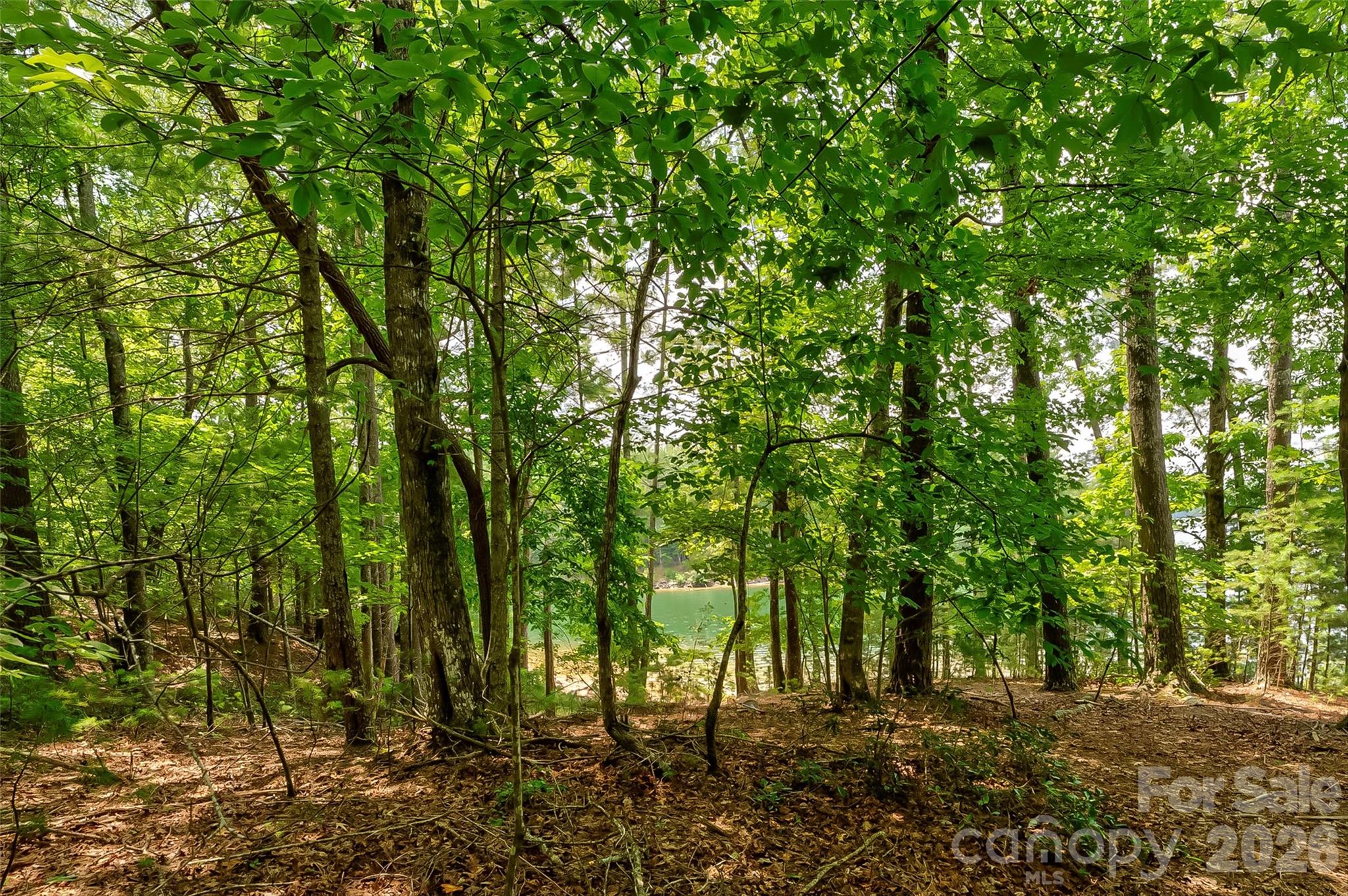 159 Deer Berry Drive Nebo NC 28761