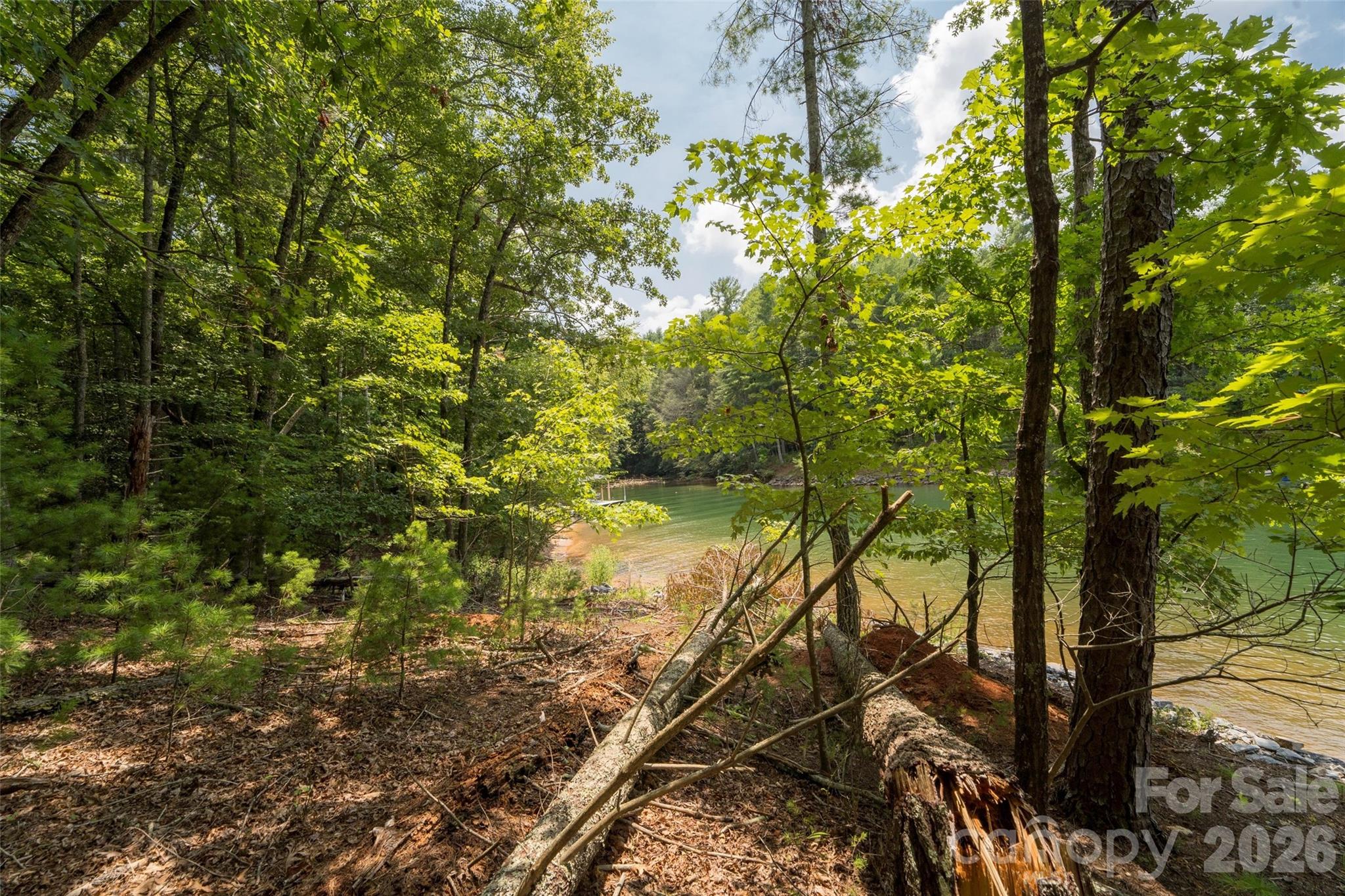 159 Deer Berry Drive Nebo NC 28761