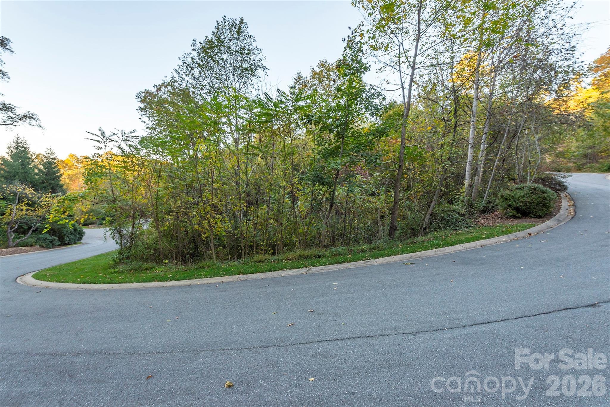 510 Sweetspire Ridge Asheville NC 28804