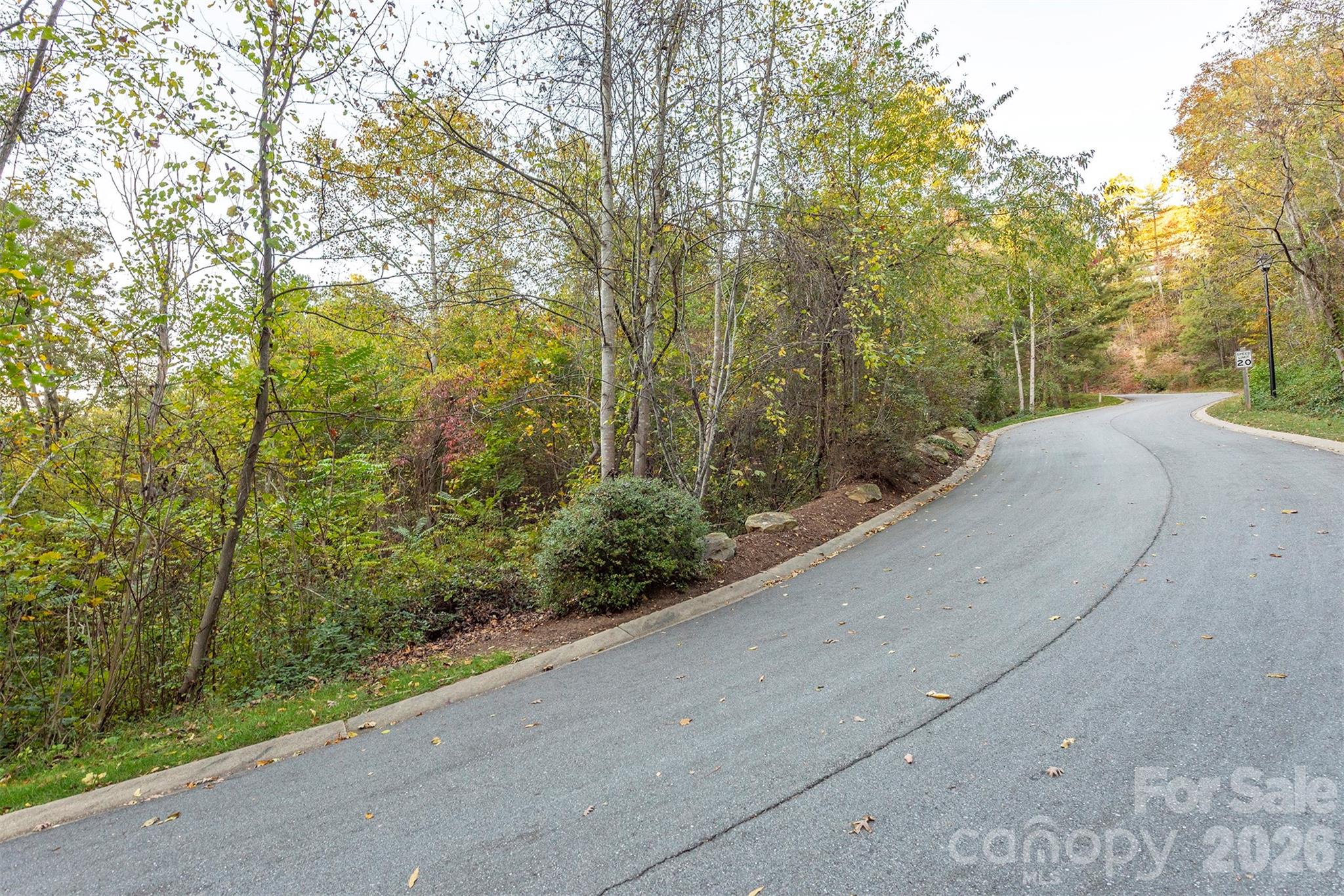 510 Sweetspire Ridge Asheville NC 28804
