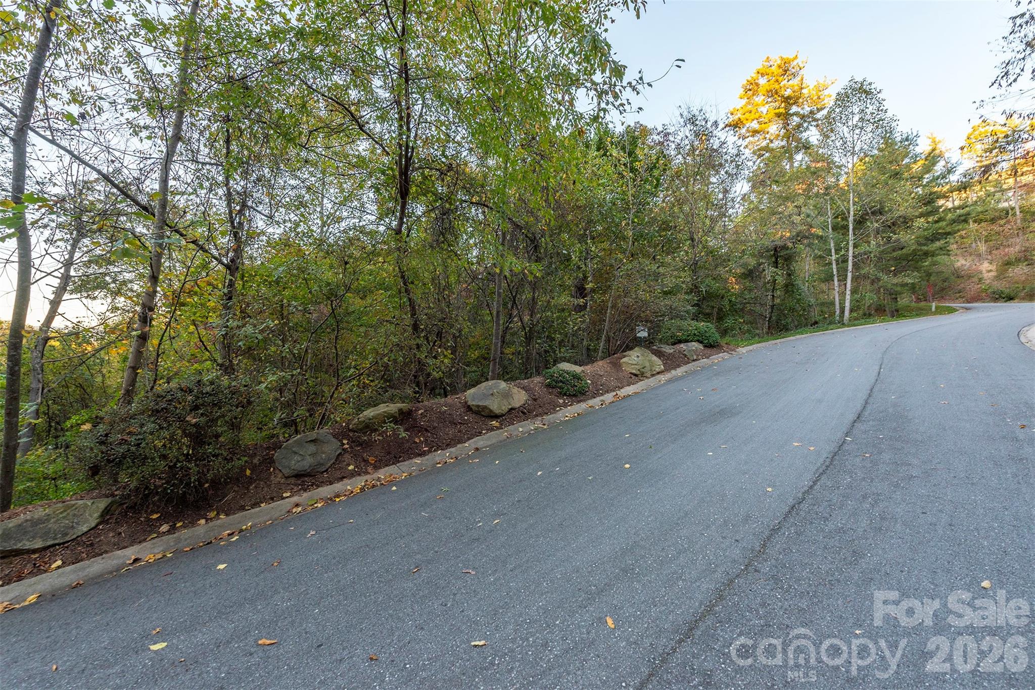 510 Sweetspire Ridge Asheville NC 28804
