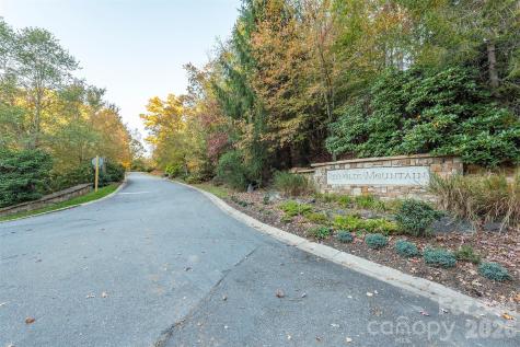 510 Sweetspire Ridge Asheville NC 28804
