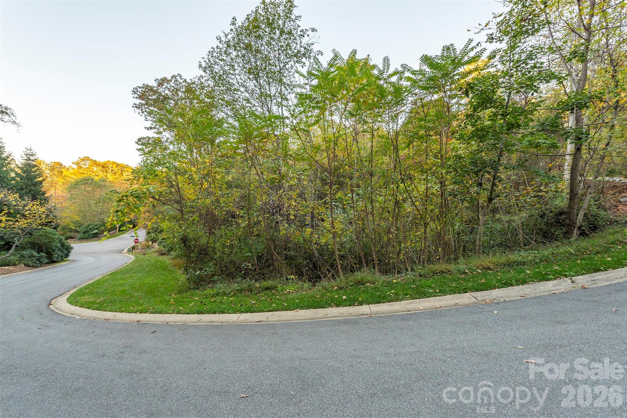 510 Sweetspire Ridge Asheville NC 28804