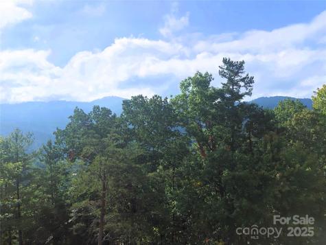 145 Black Oak Drive Asheville NC 28804