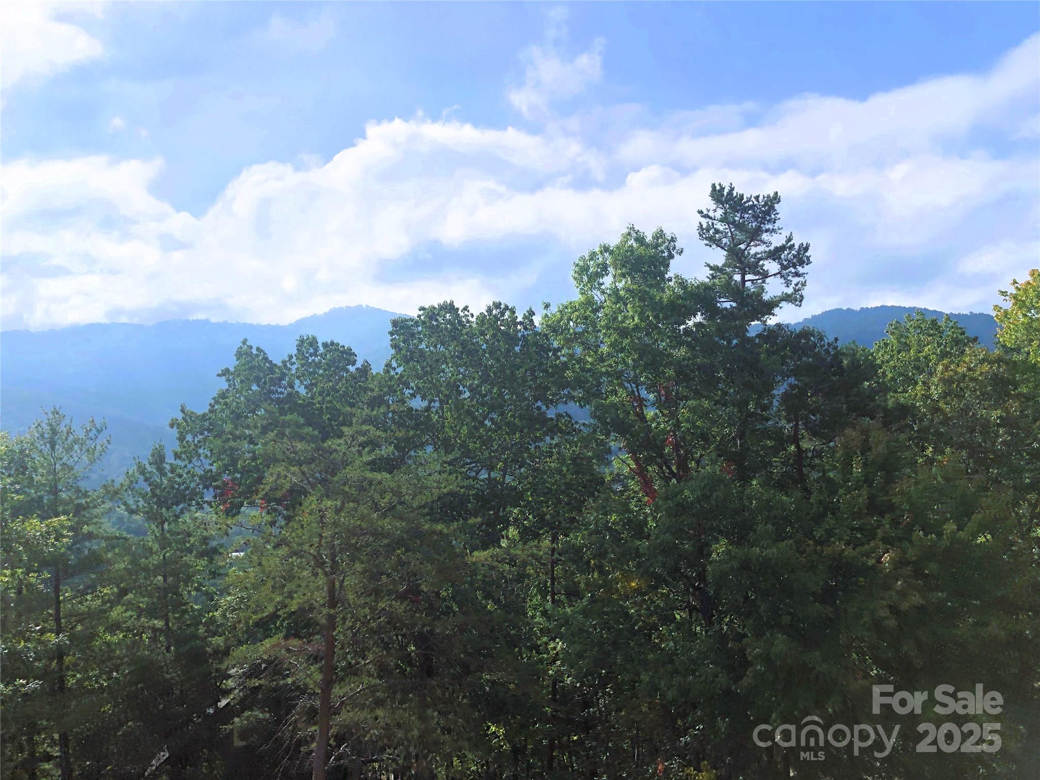 145 Black Oak Drive Asheville NC 28804
