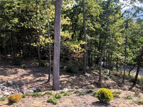 145 Black Oak Drive Asheville NC 28804