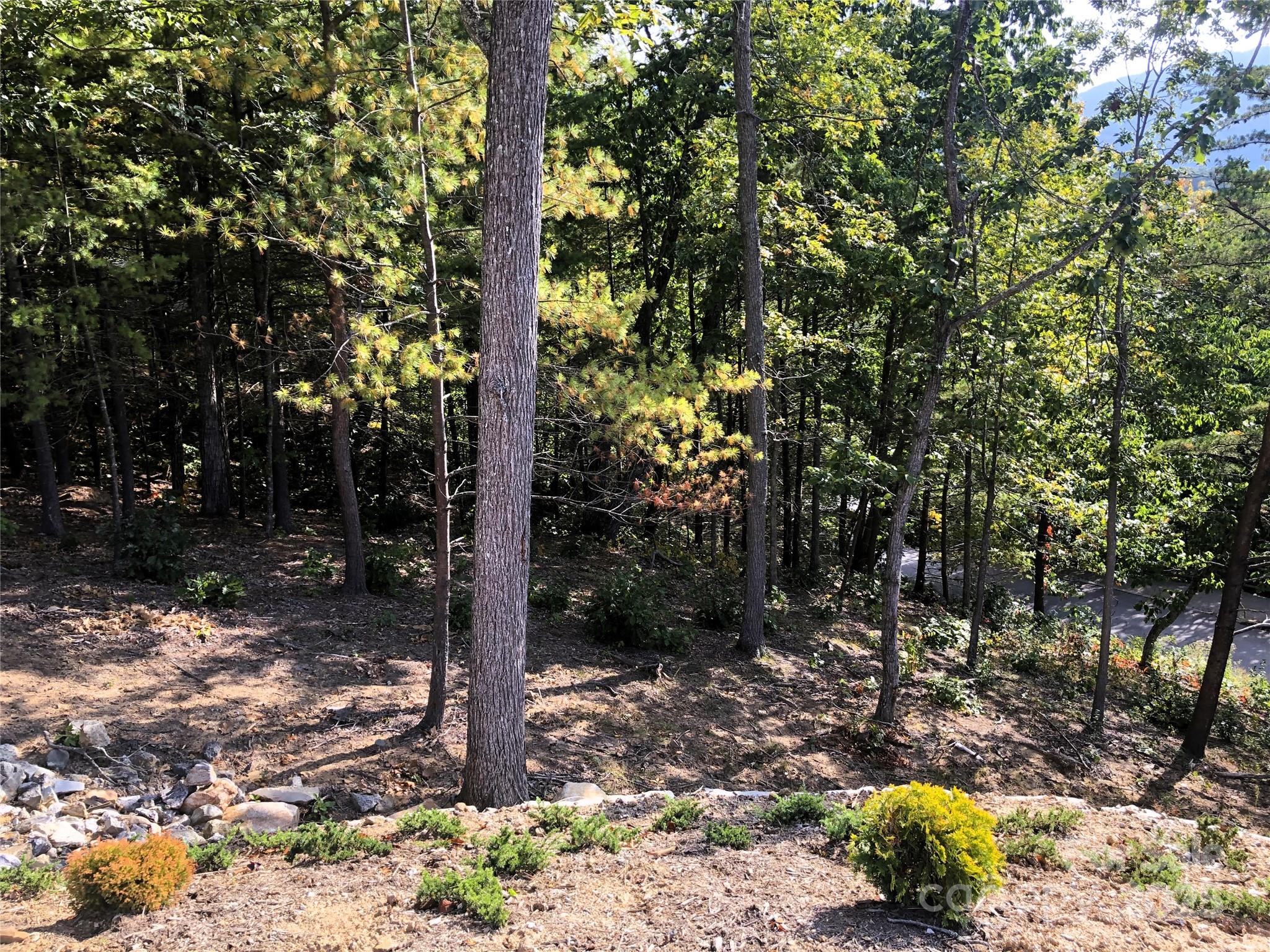 145 Black Oak Drive Asheville NC 28804