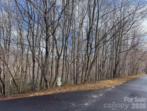 9999 Rainbow Falls Trail Black Mountain NC 28711