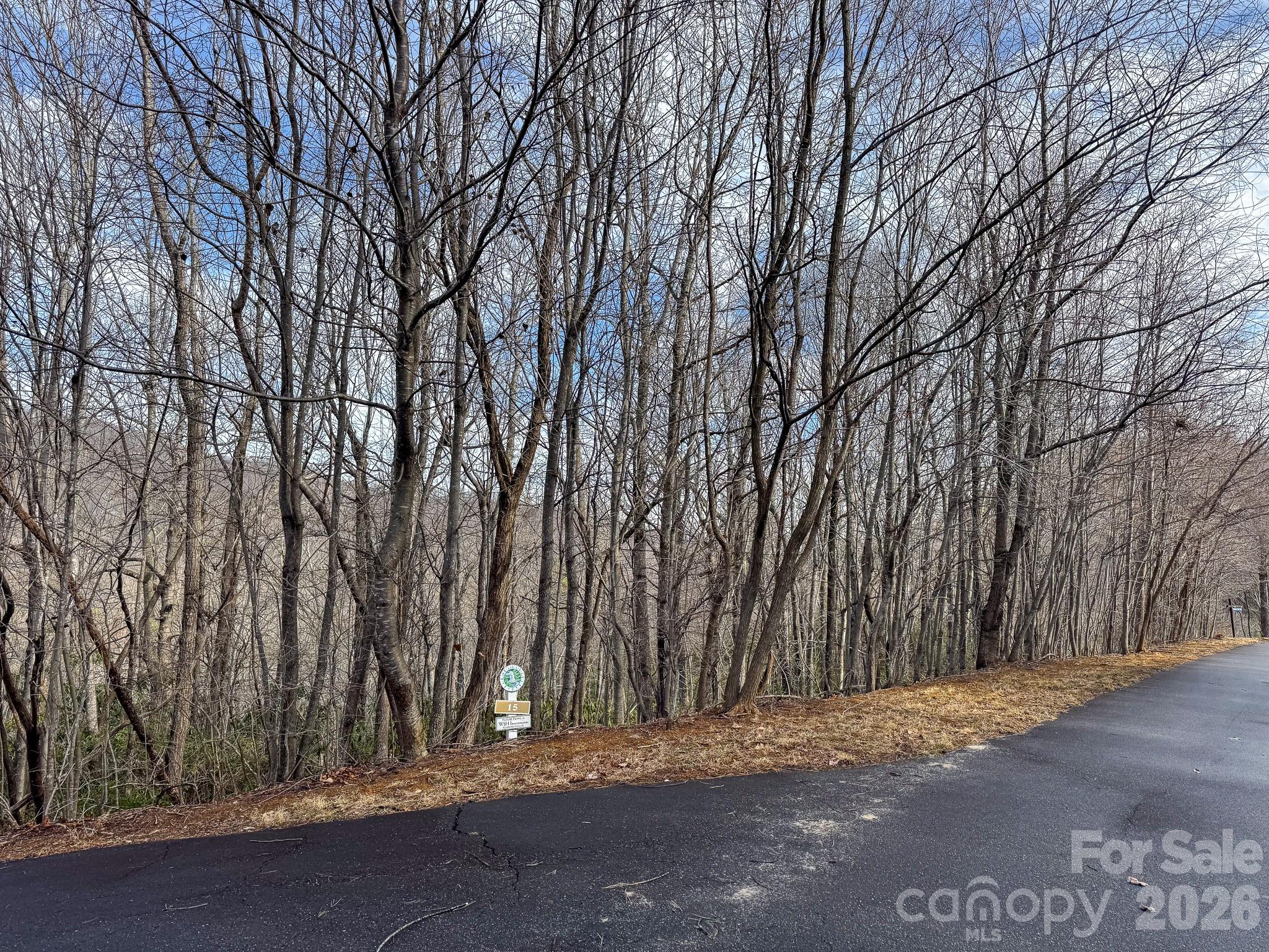 9999 Rainbow Falls Trail Black Mountain NC 28711