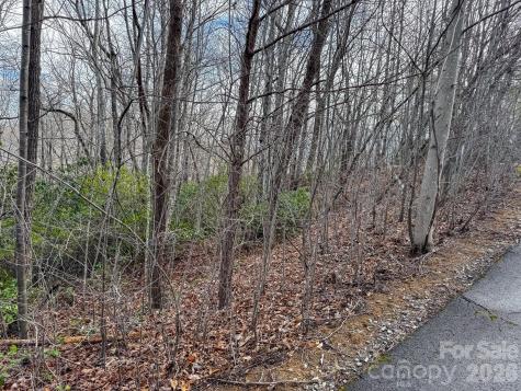 9999 Rainbow Falls Trail Black Mountain NC 28711