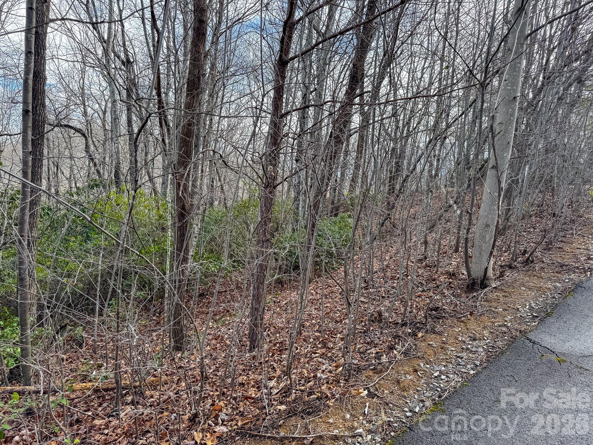 9999 Rainbow Falls Trail Black Mountain NC 28711