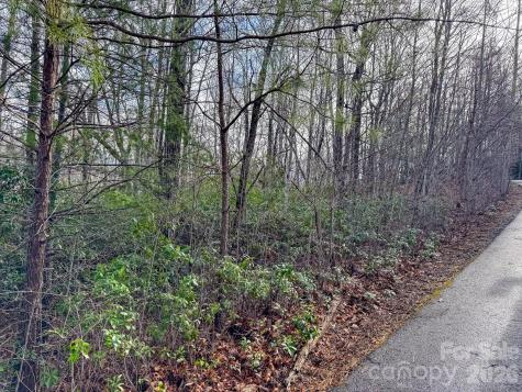 9999 Rainbow Falls Trail Black Mountain NC 28711