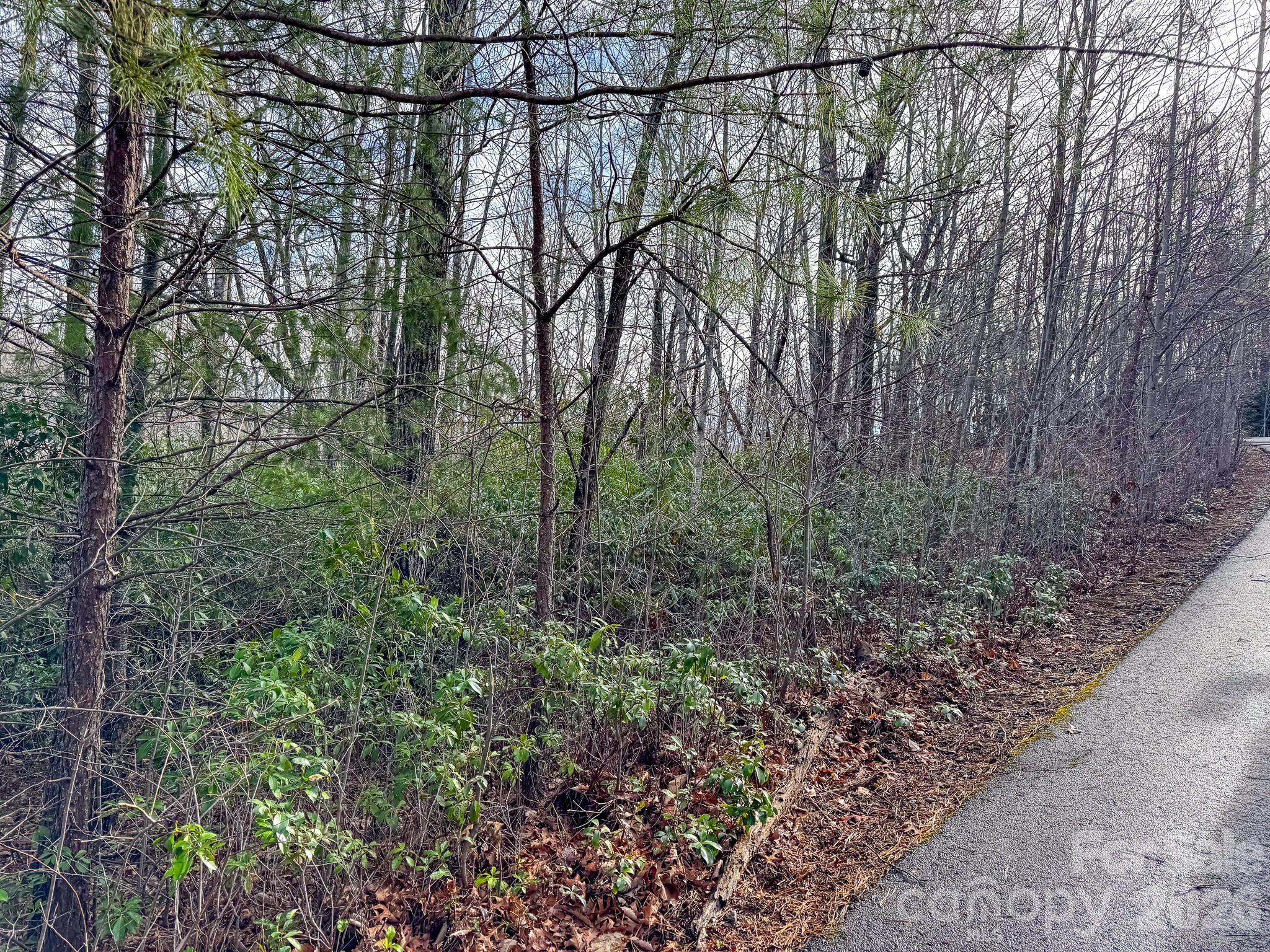 9999 Rainbow Falls Trail Black Mountain NC 28711