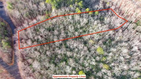 9999 Rainbow Falls Trail Black Mountain NC 28711
