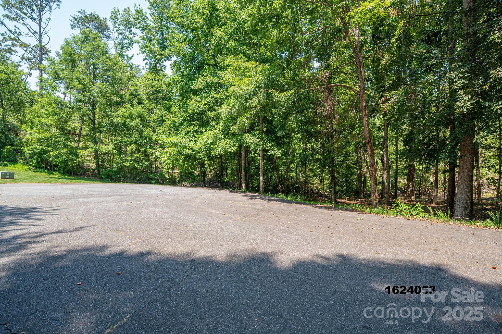 Lot 0 Annapolis Court Rutherfordton NC 28139