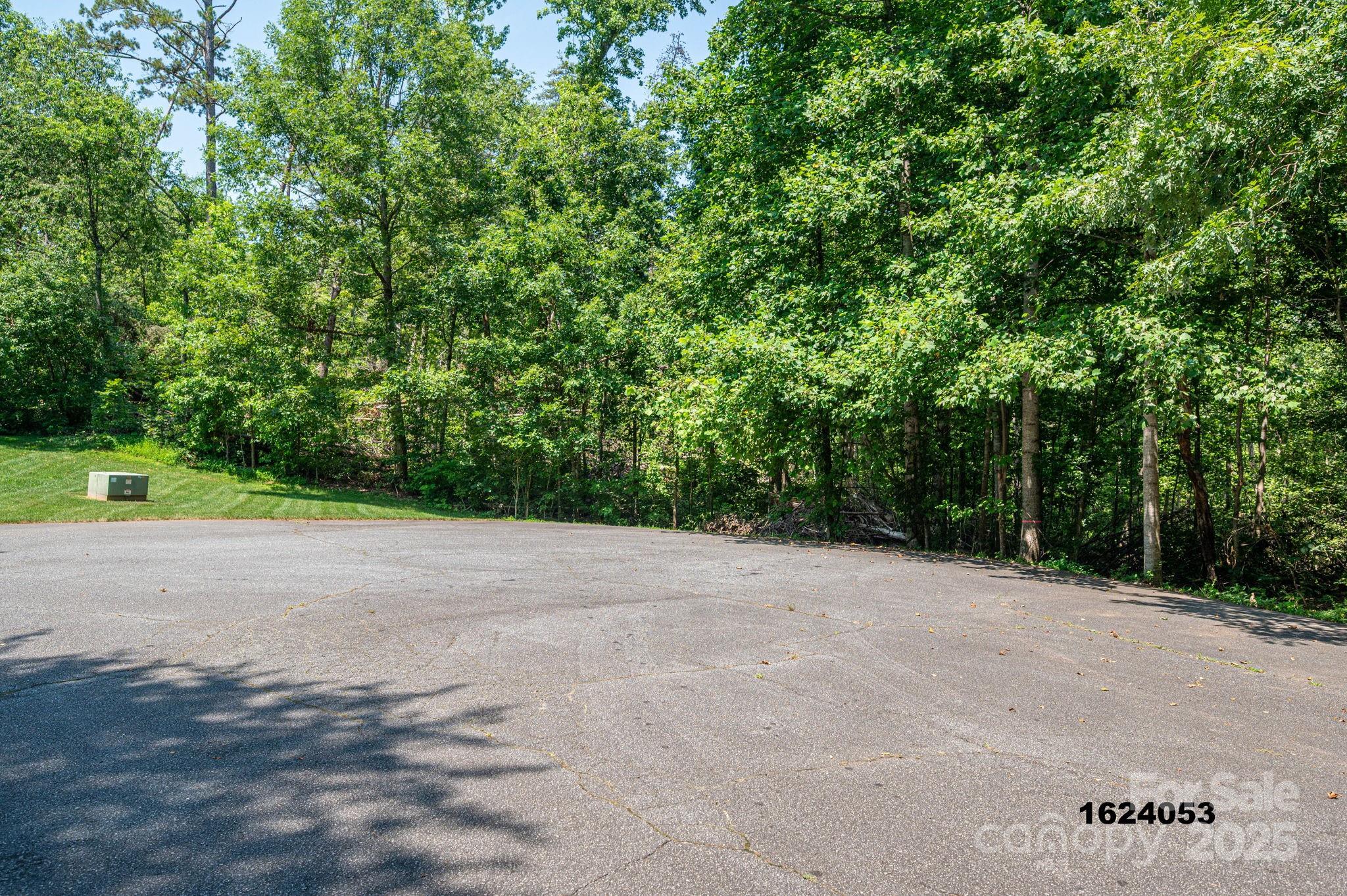 Lot 0 Annapolis Court Rutherfordton NC 28139