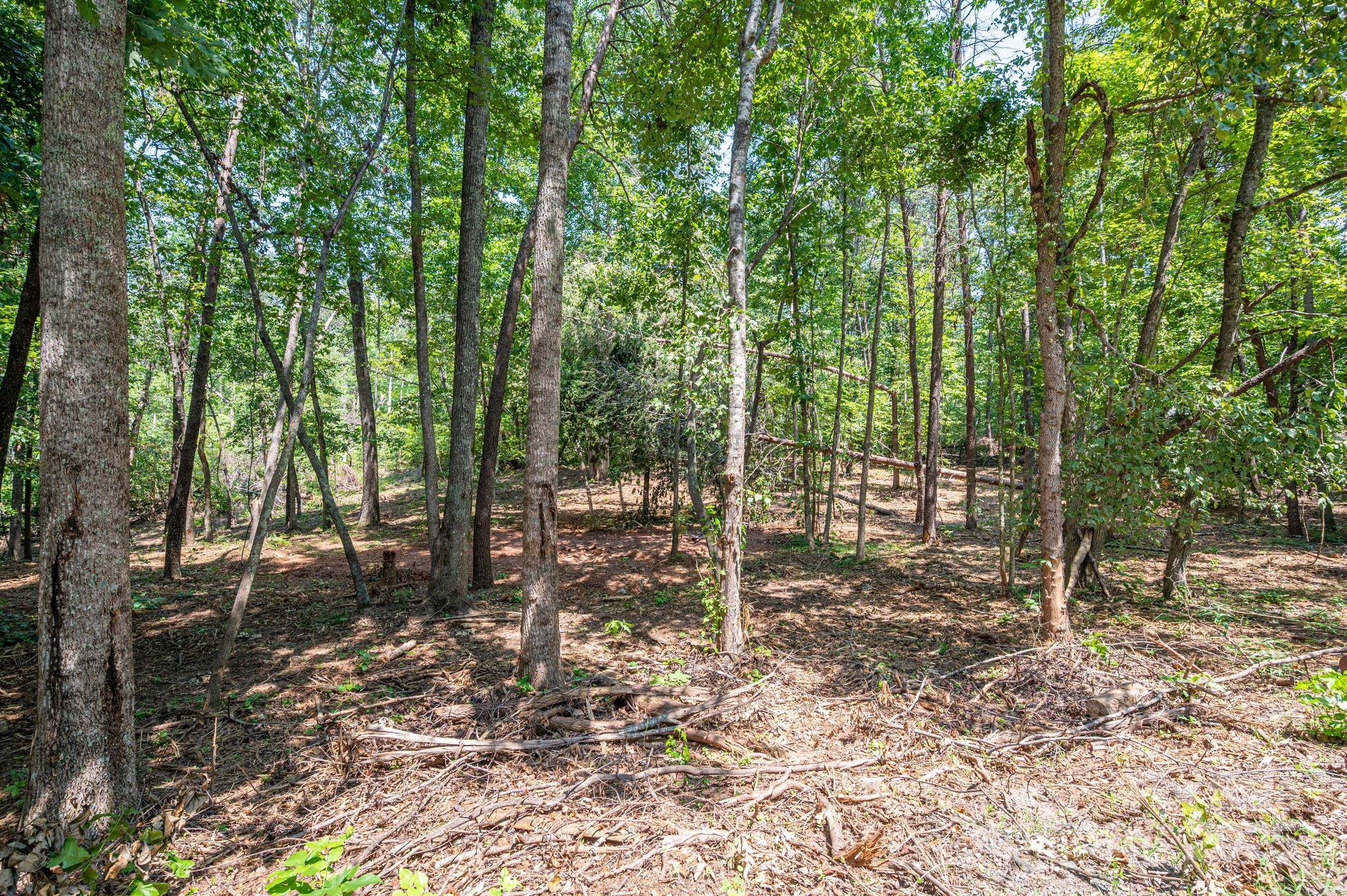 Lot 0 Annapolis Court Rutherfordton NC 28139