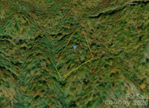 111 Pilot Mountain Vista Cullowhee NC 28723