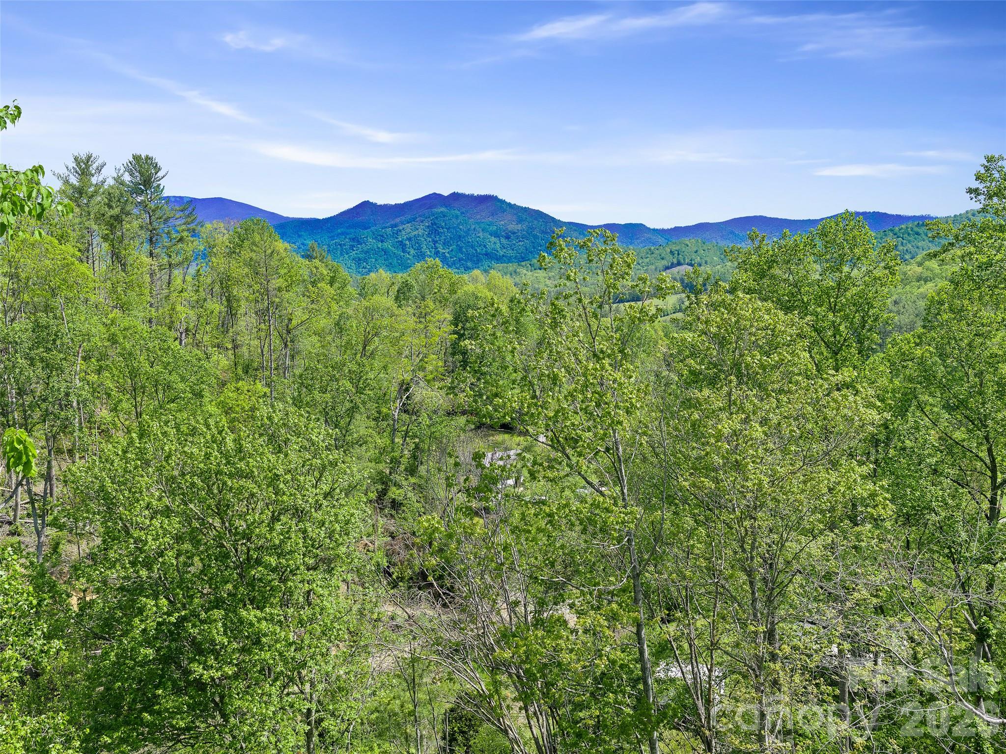 615 Fred Sparks Road Bakersville NC 28705
