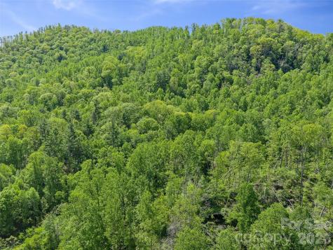 615 Fred Sparks Road Bakersville NC 28705