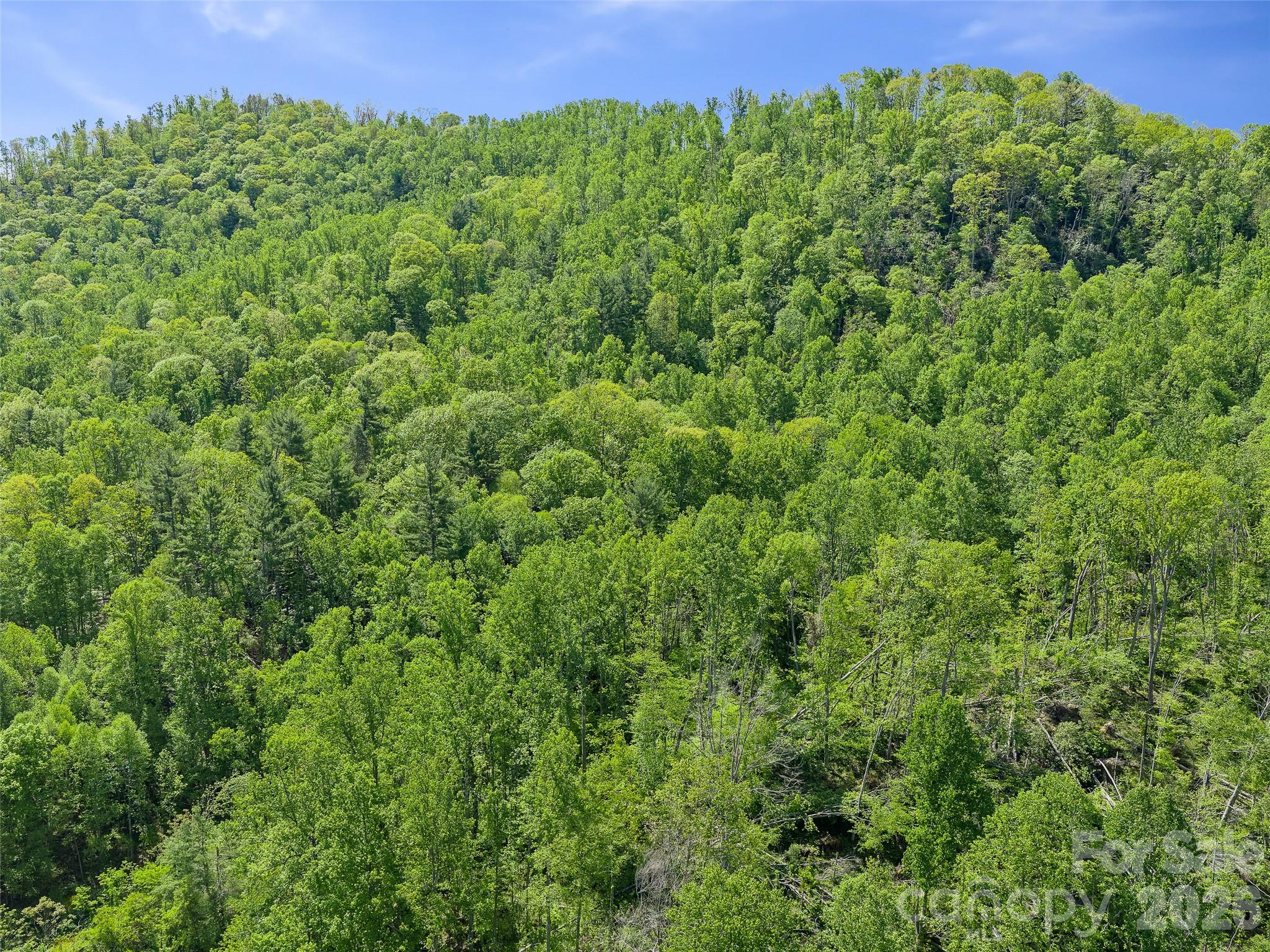 615 Fred Sparks Road Bakersville NC 28705