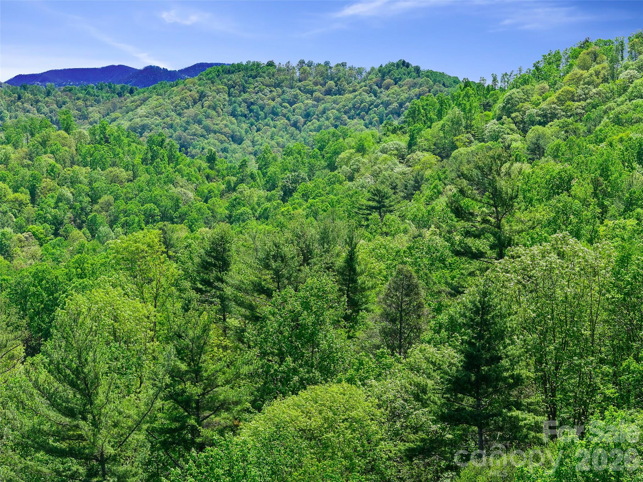 615 Fred Sparks Road Bakersville NC 28705