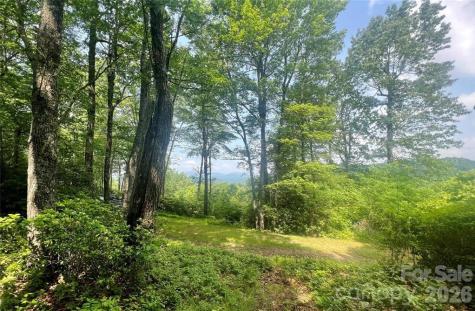Lot 10 Joshua Road Rosman NC 28772