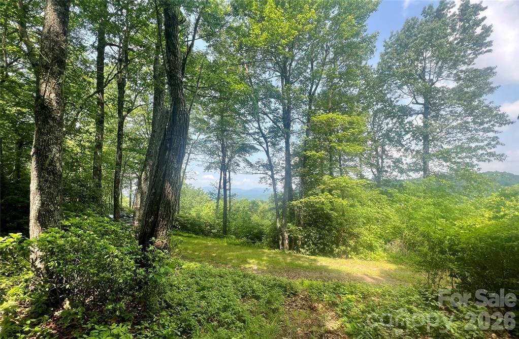 Lot 10 Joshua Road Rosman NC 28772