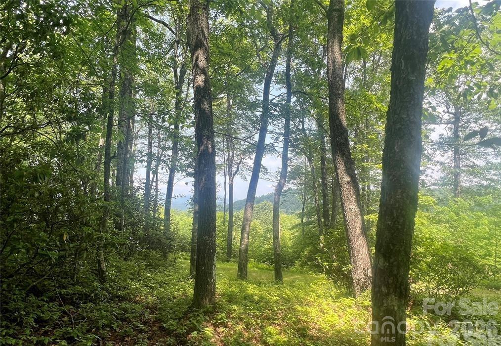 Lot 10 Joshua Road Rosman NC 28772