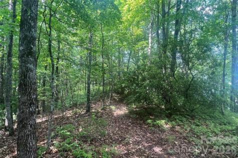 Lot 10 Joshua Road Rosman NC 28772
