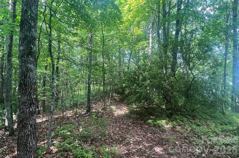 Lot 10 Joshua Road Rosman NC 28772