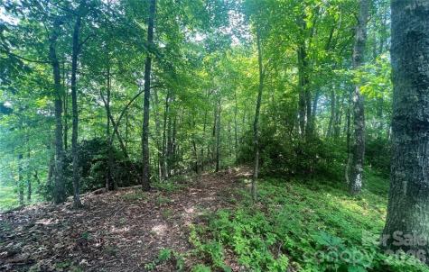 Lot 10 Joshua Road Rosman NC 28772