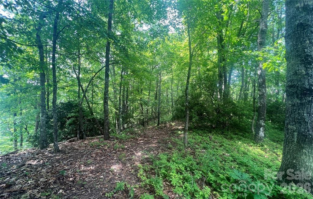 Lot 10 Joshua Road Rosman NC 28772
