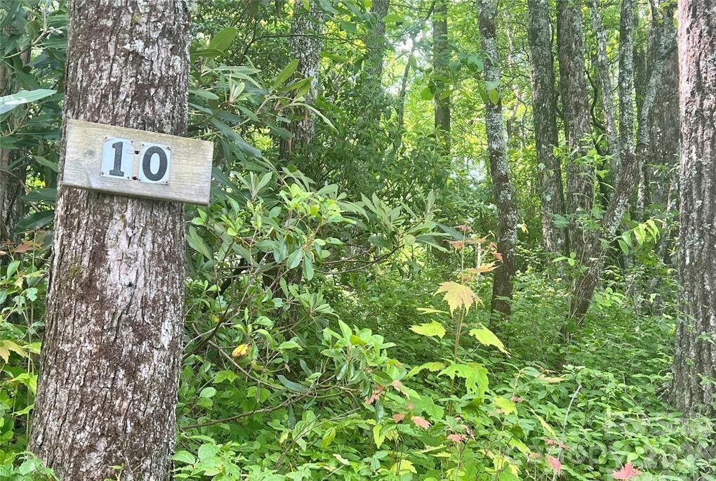 Lot 10 Joshua Road Rosman NC 28772