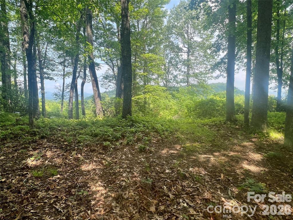Lot 10 Joshua Road Rosman NC 28772