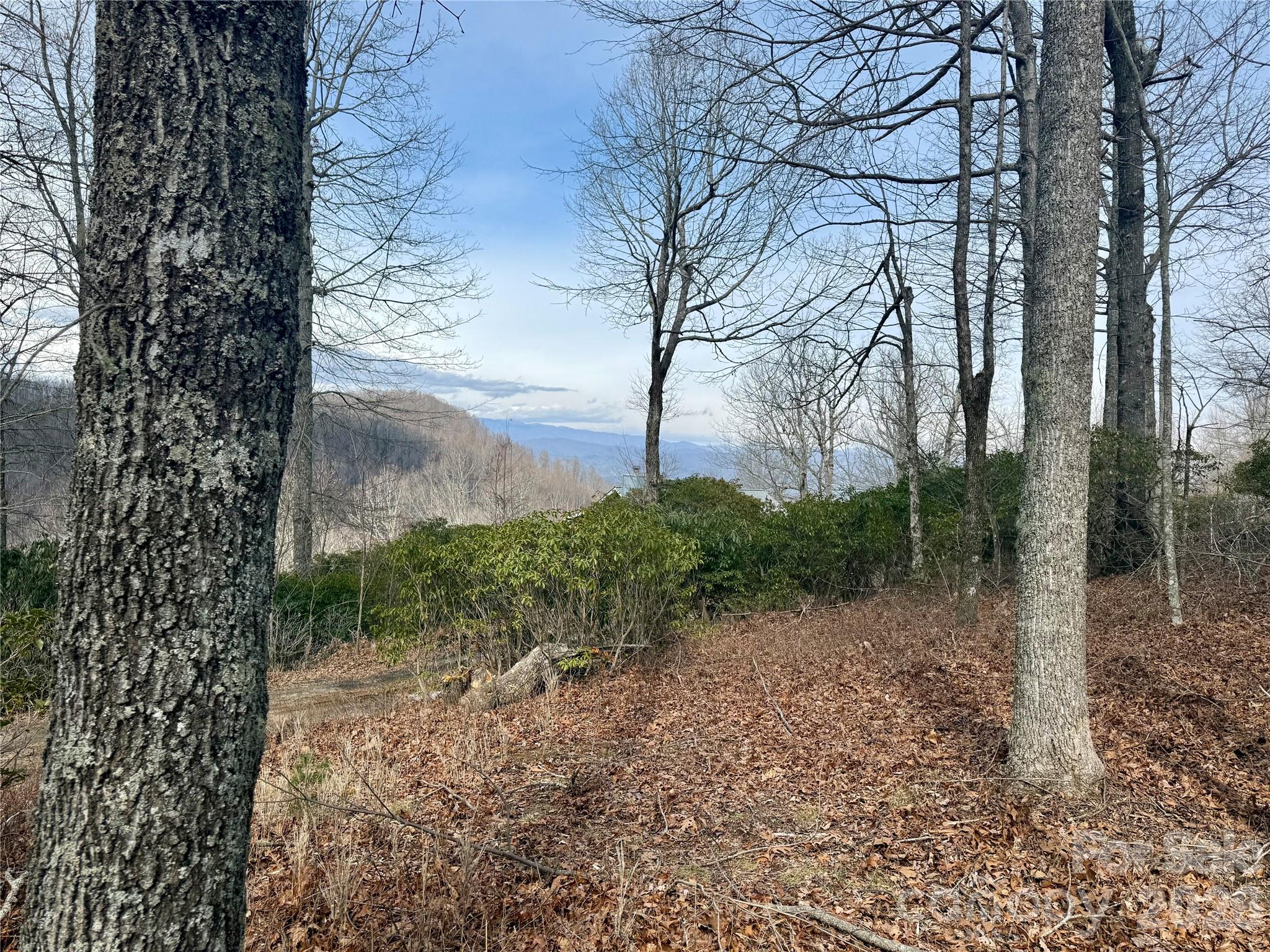 Lot 10 Joshua Road Rosman NC 28772