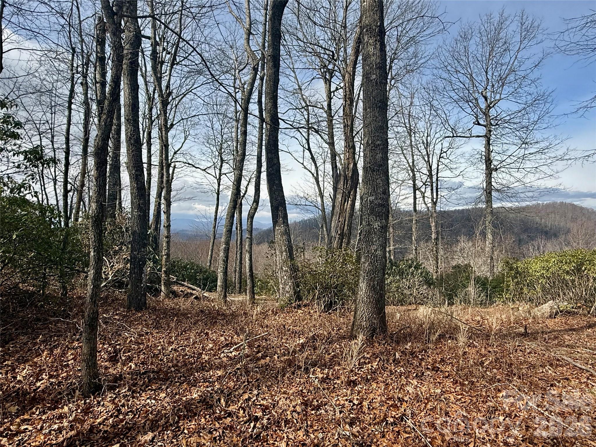 Lot 10 Joshua Road Rosman NC 28772