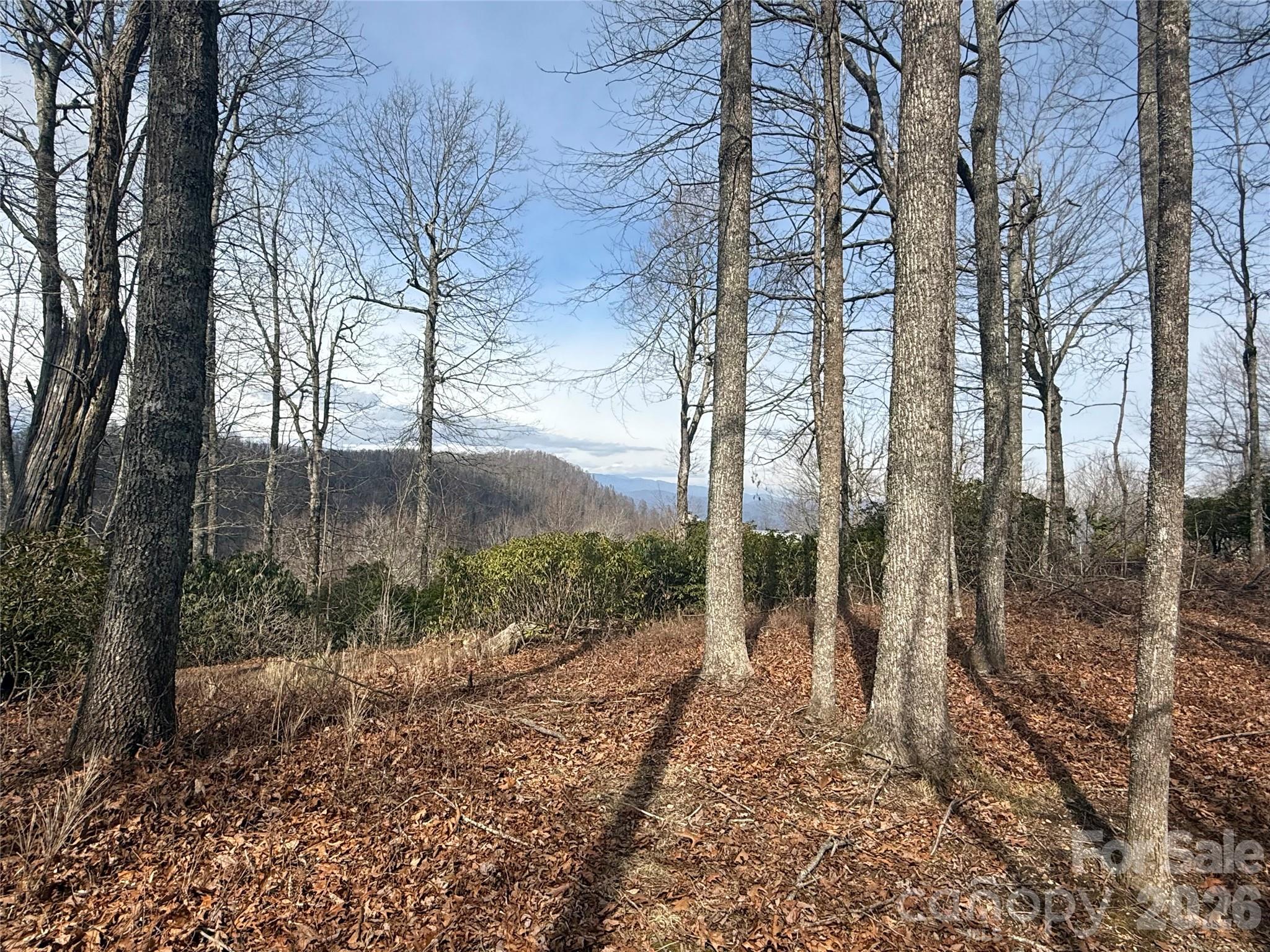 Lot 10 Joshua Road Rosman NC 28772