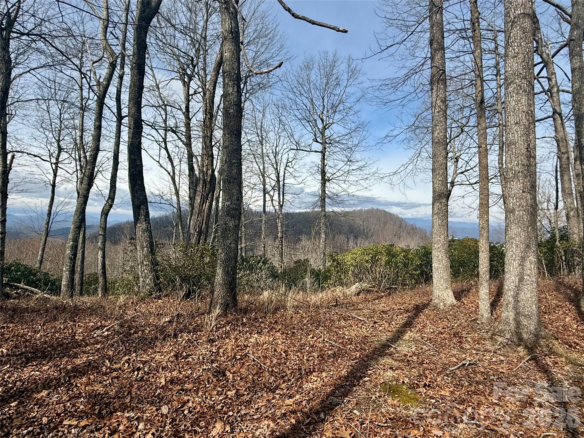 Lot 10 Joshua Road Rosman NC 28772