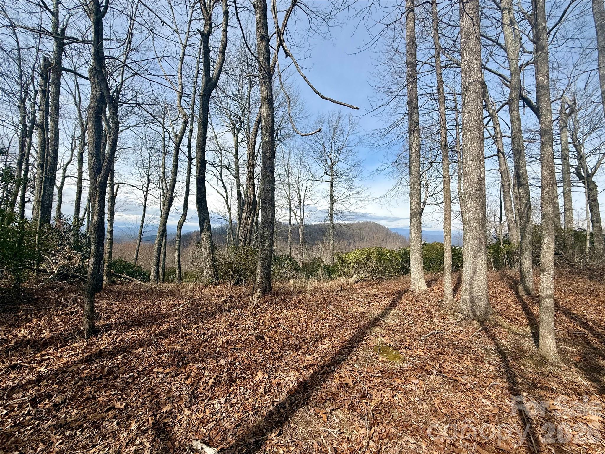 Lot 10 Joshua Road Rosman NC 28772