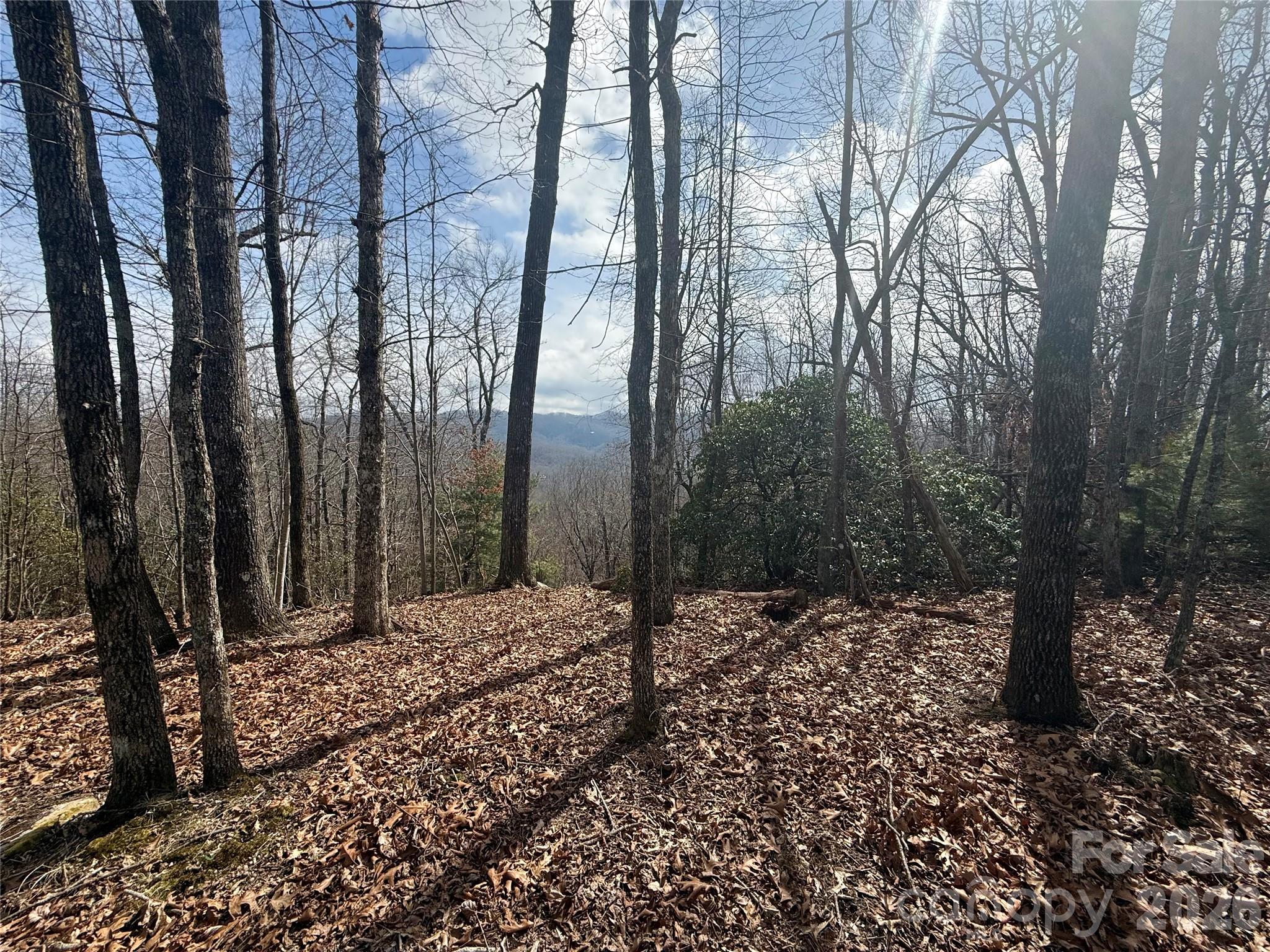 Lot 10 Joshua Road Rosman NC 28772